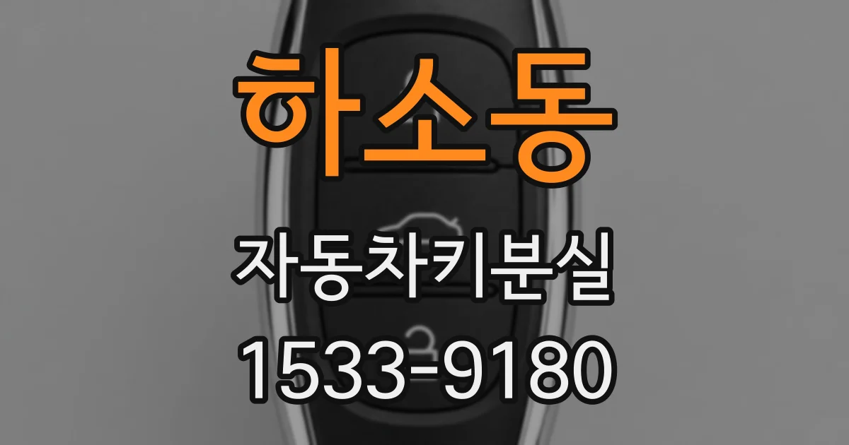 하소동 자동차키분실