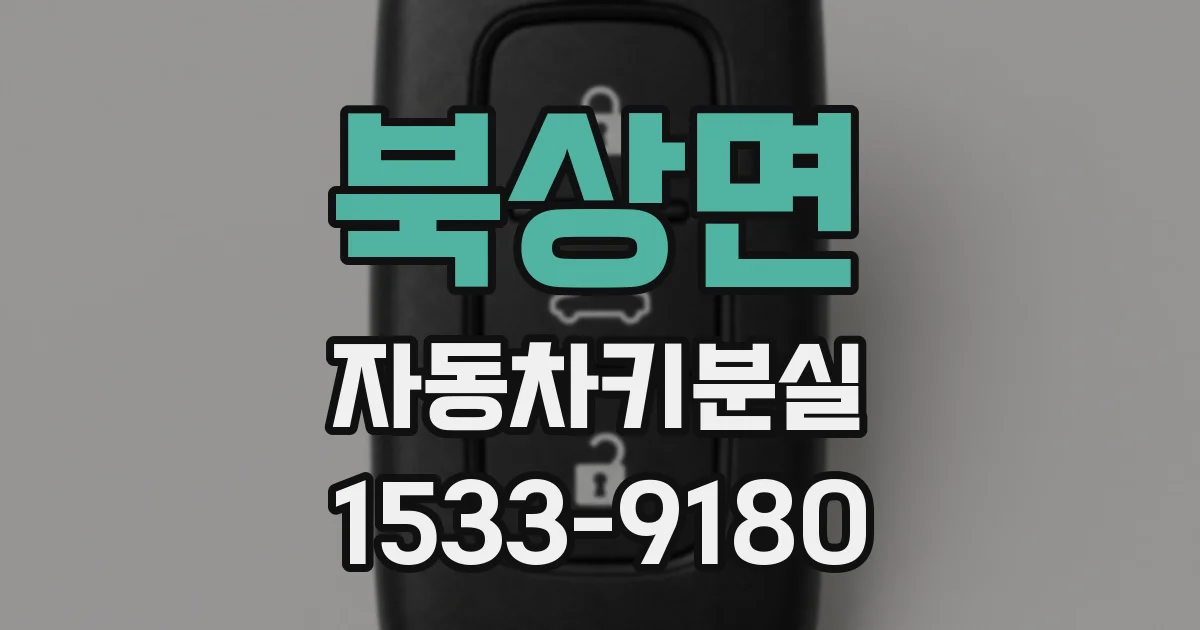 북상면 자동차키분실