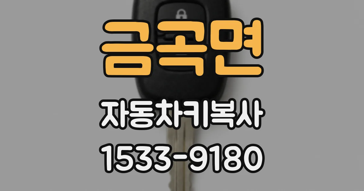 금곡면 자동차키복사