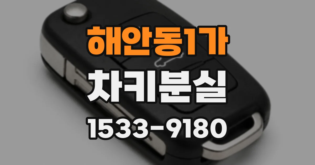 해안동1가 차키분실