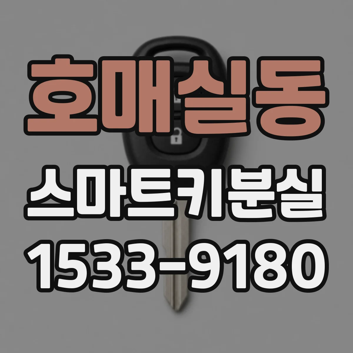 호매실동 스마트키분실