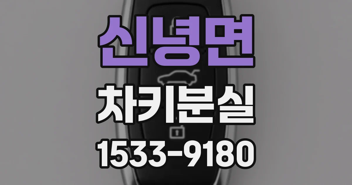 신녕면 차키분실