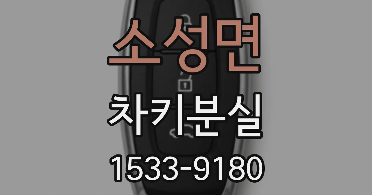 소성면 차키분실