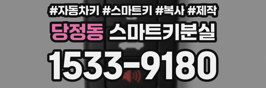 당정동 스마트키분실