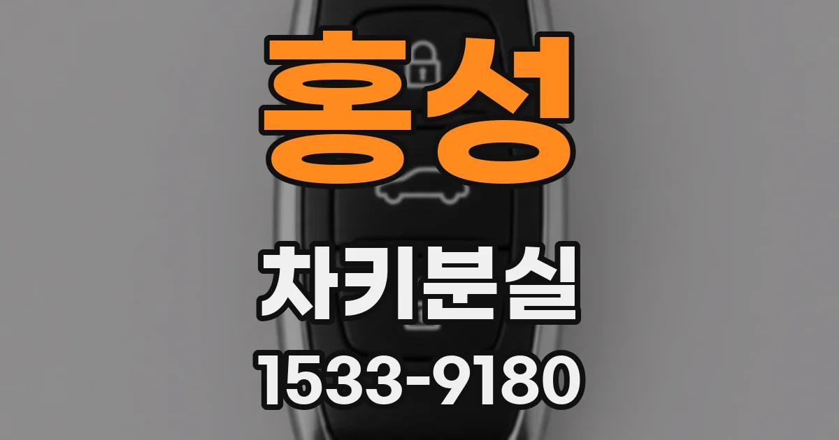 홍성 차키분실