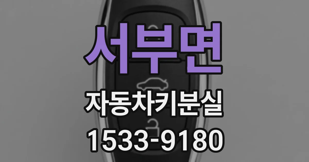 서부면 자동차키분실