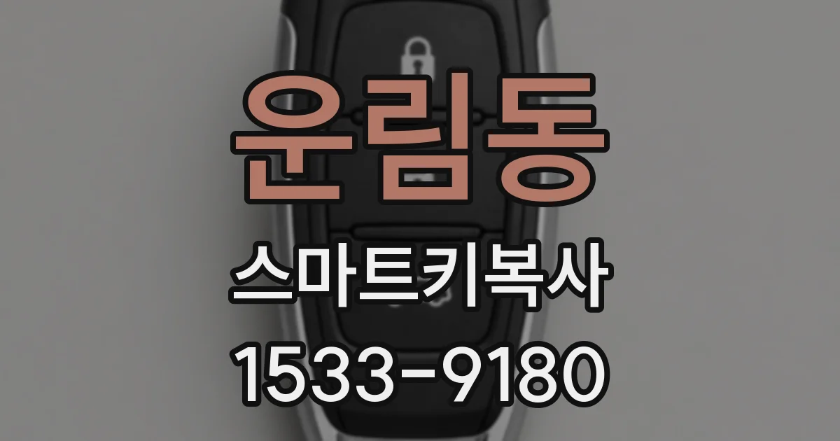 운림동 스마트키복사