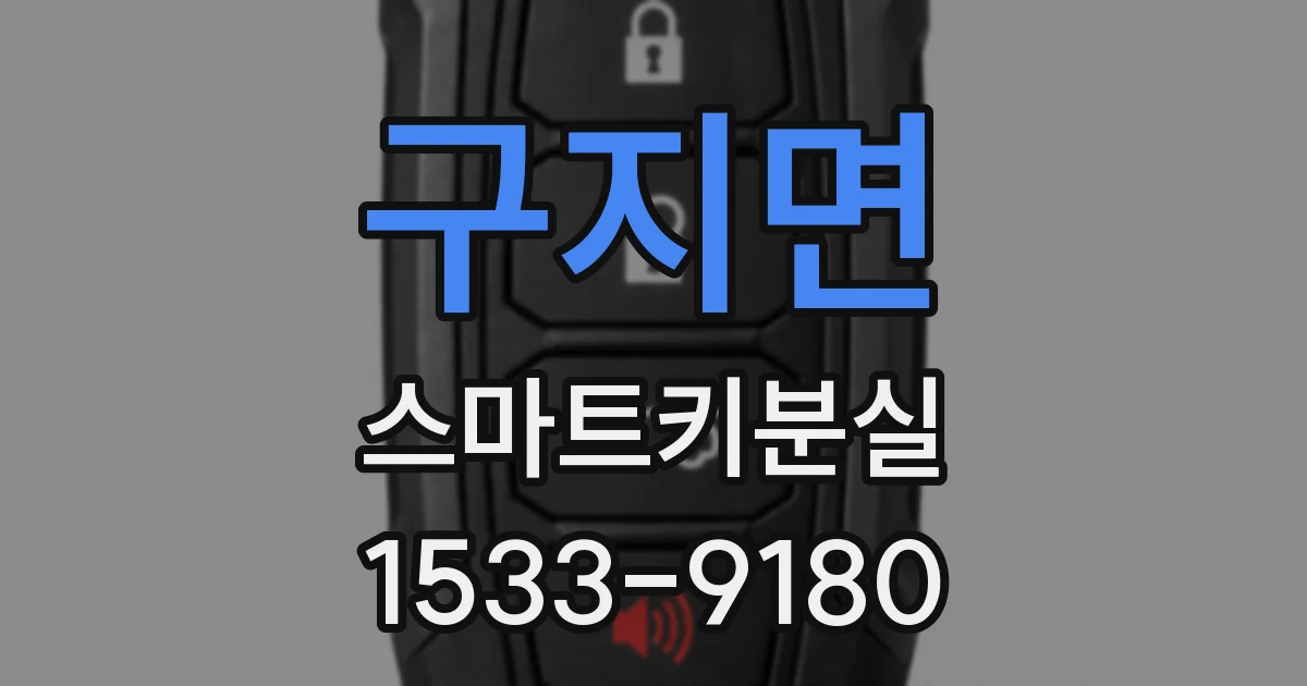 구지면 스마트키분실