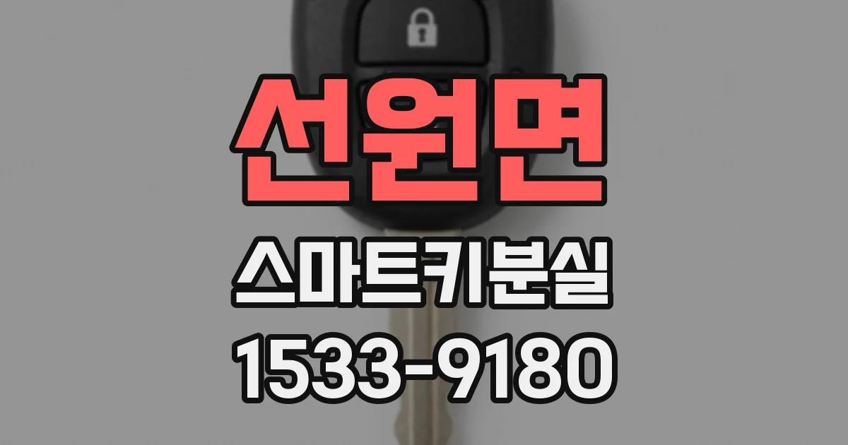 선원면 스마트키분실