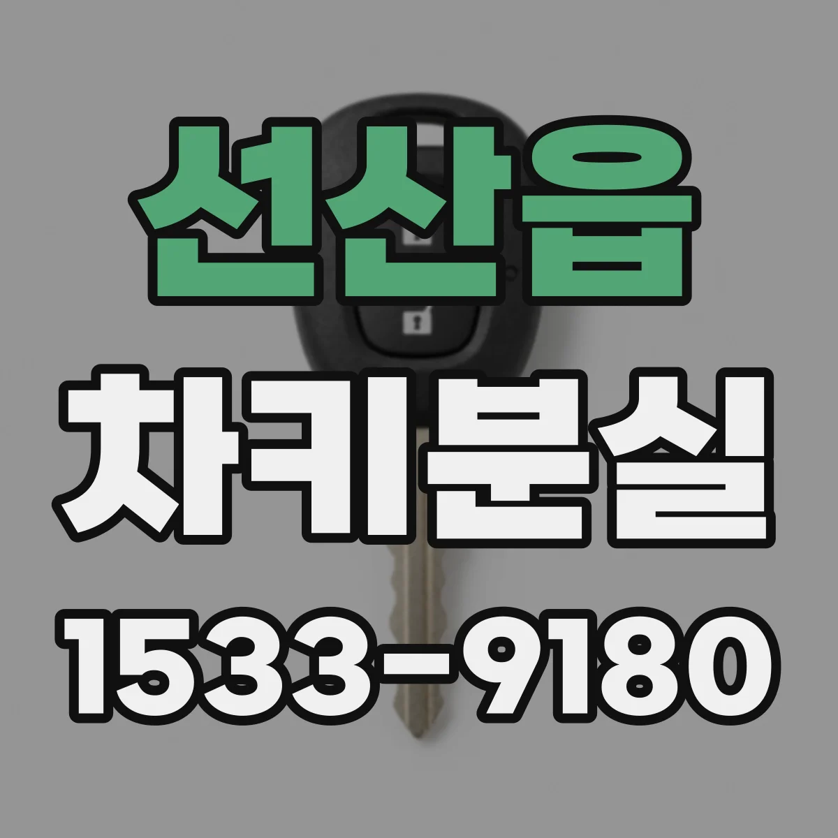선산읍 차키분실
