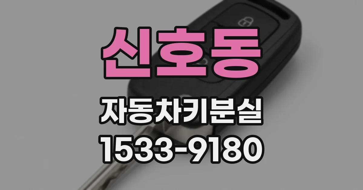 신호동 자동차키분실