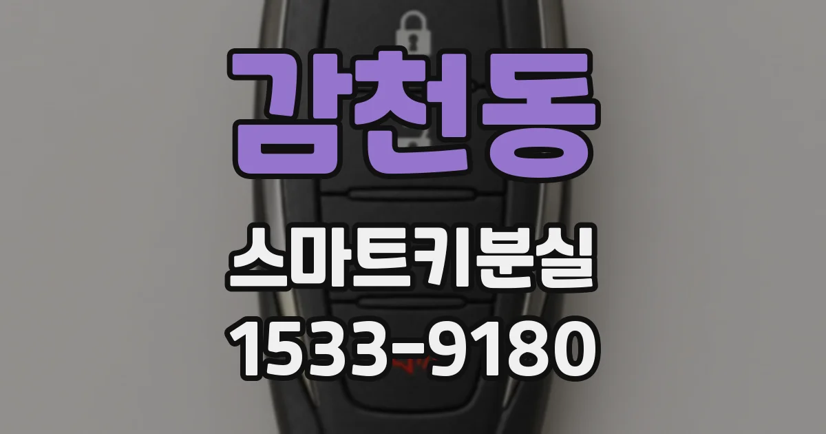 감천동 스마트키분실