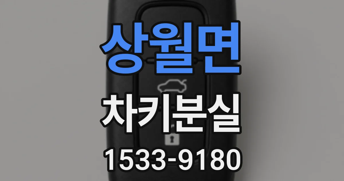 상월면 차키분실