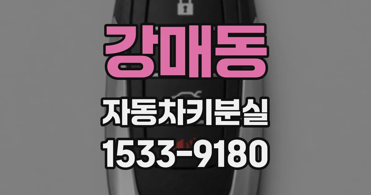 강매동 자동차키분실