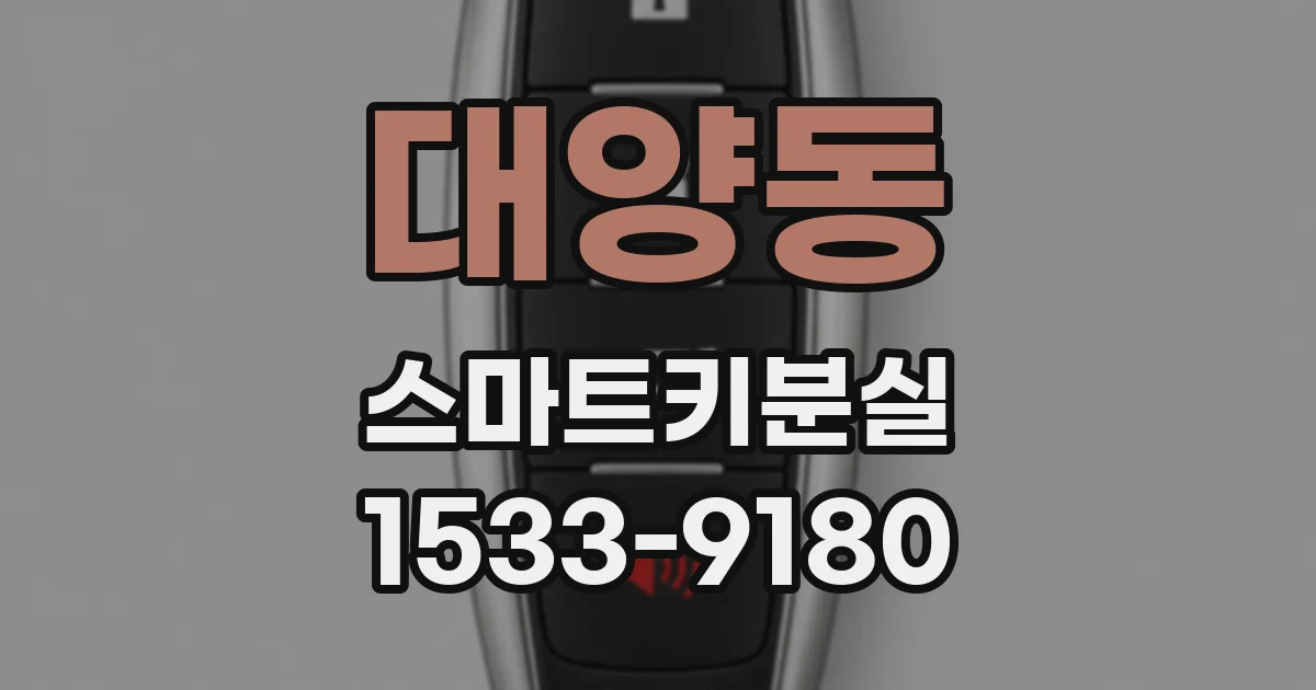대양동 스마트키분실
