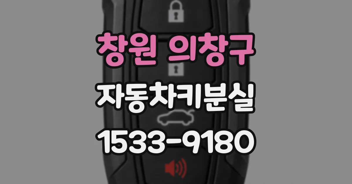 창원 의창구 자동차키분실