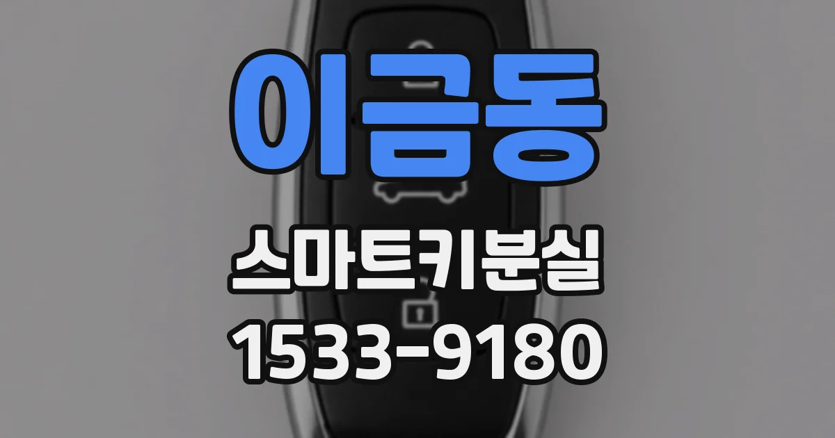 이금동 스마트키분실