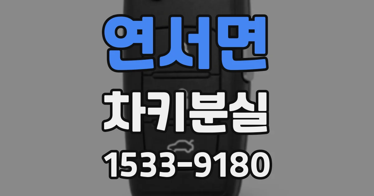연서면 차키분실