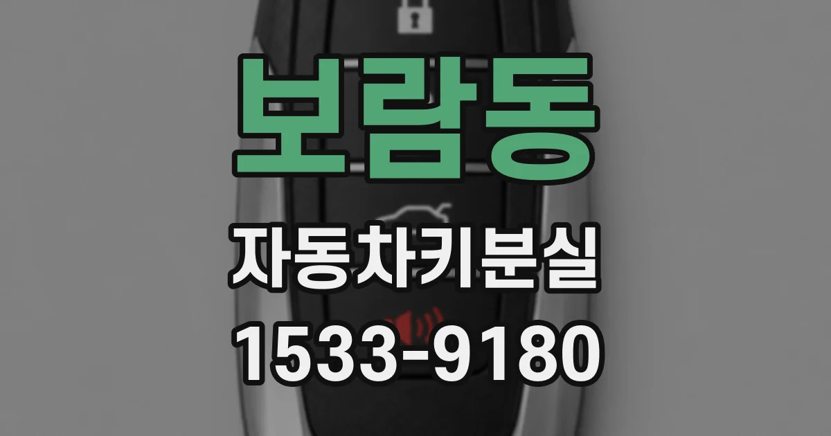 보람동 자동차키분실