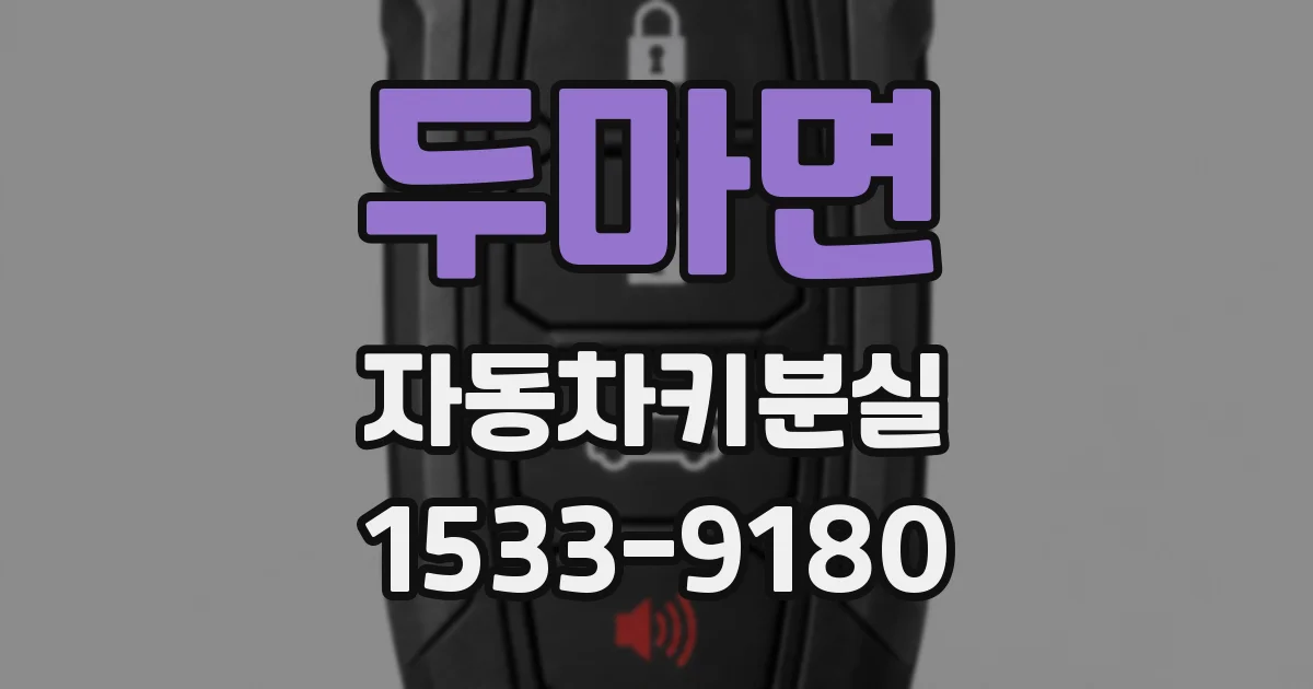두마면 자동차키분실