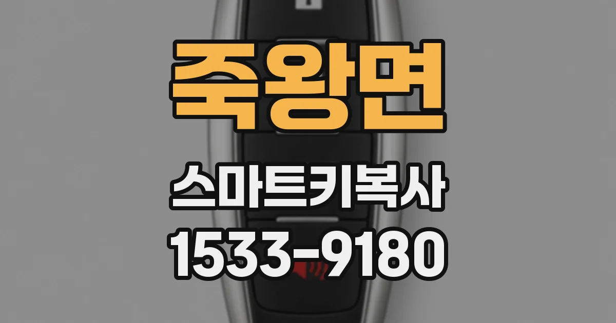 죽왕면 스마트키복사