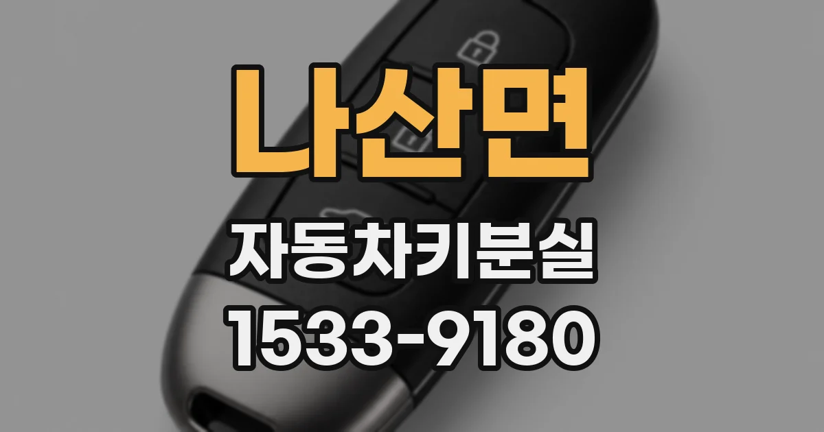 나산면 자동차키분실