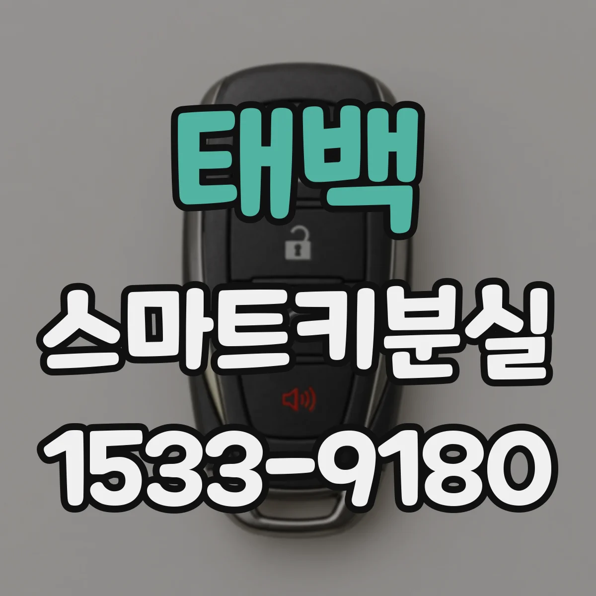 태백 스마트키분실