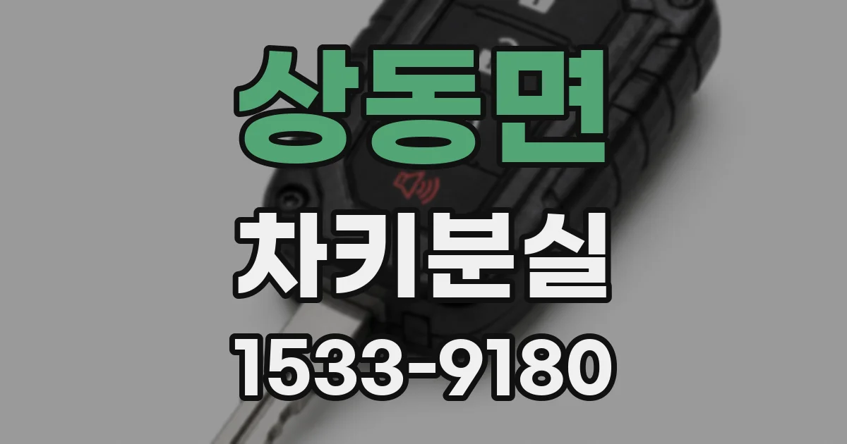 상동면 차키분실