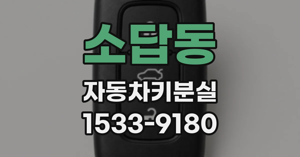 소답동 자동차키분실