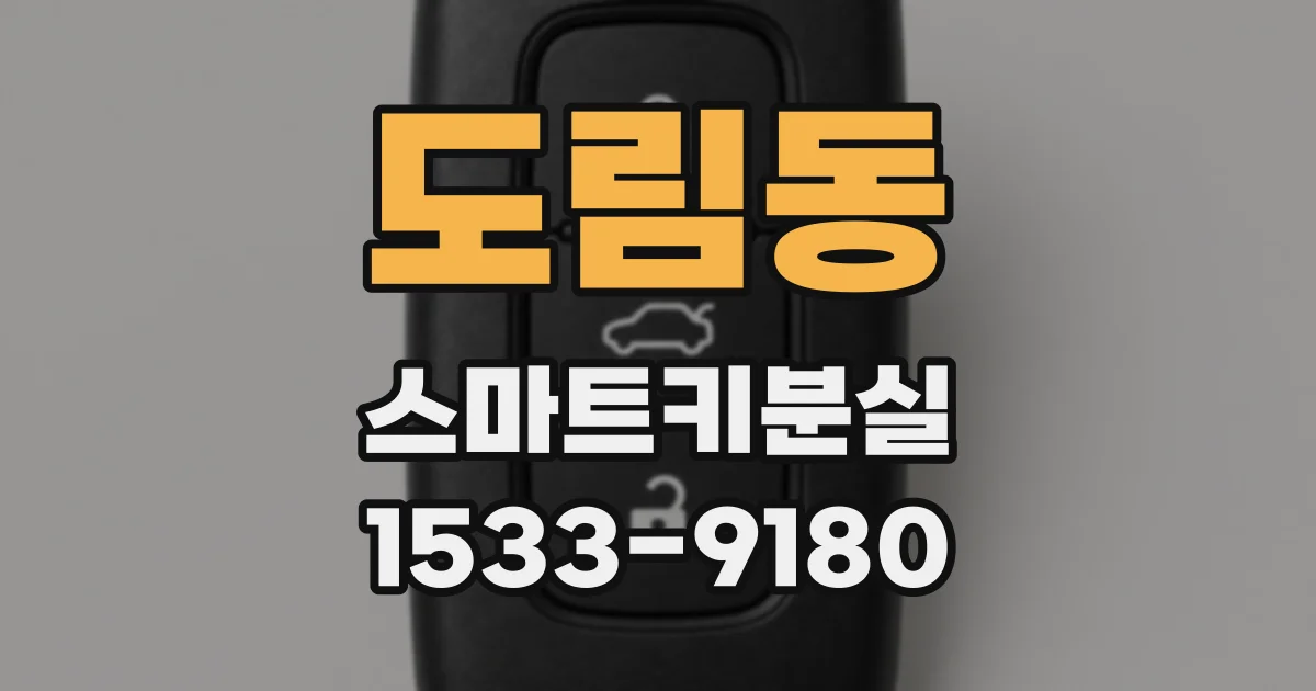 도림동 스마트키분실