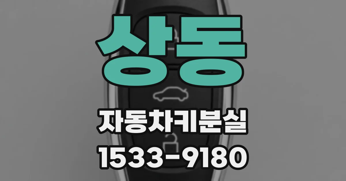 상동 자동차키분실