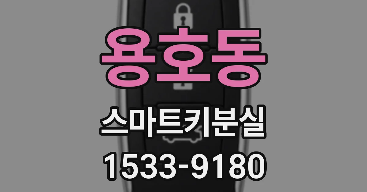 용호동 스마트키분실