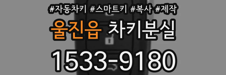 울진읍 차키분실