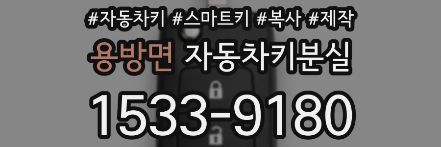 용방면 자동차키분실