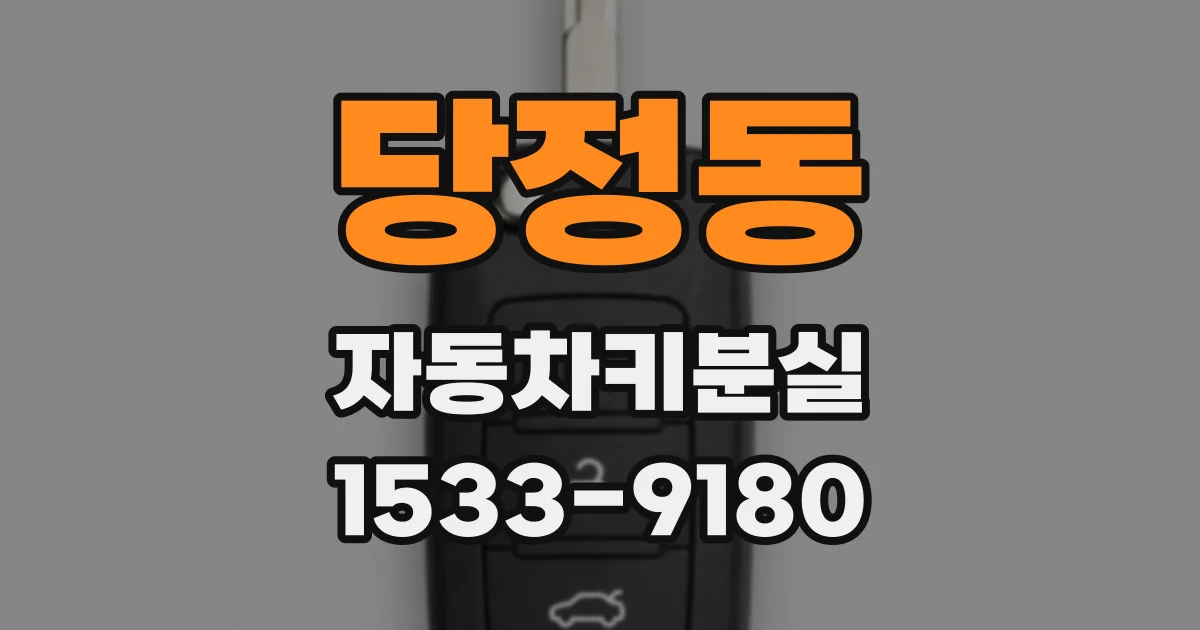 당정동 자동차키분실