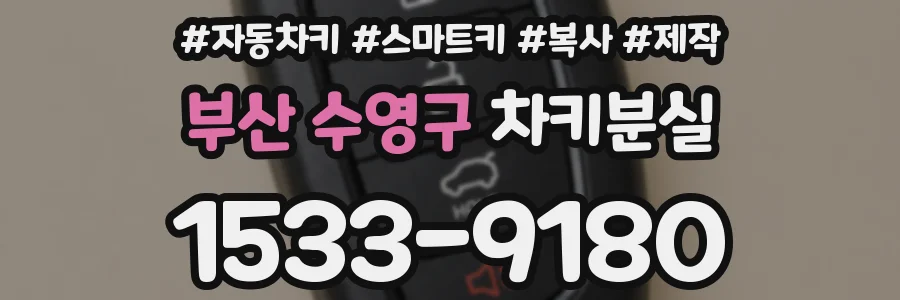 부산 수영구 차키분실