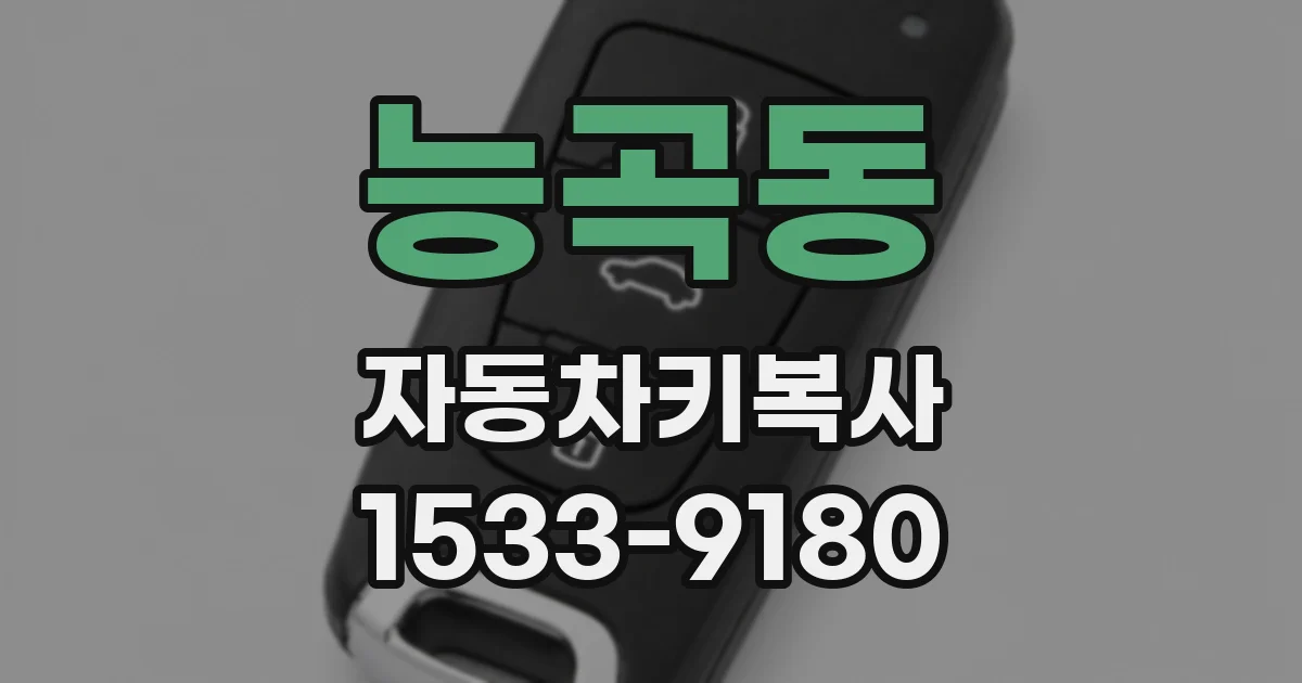능곡동 자동차키복사