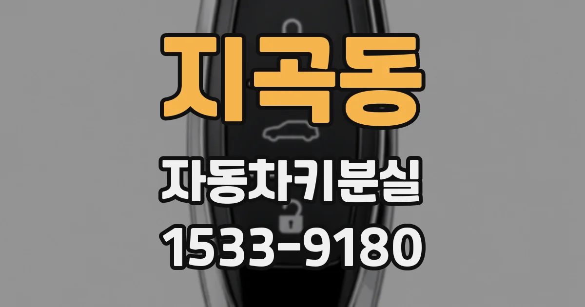 지곡동 자동차키분실