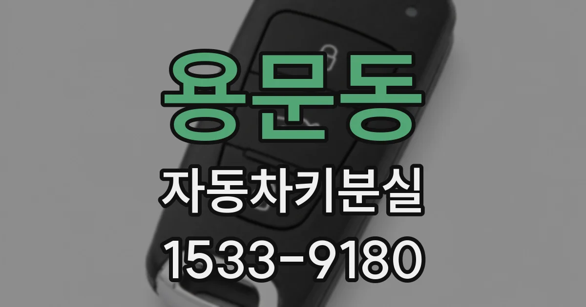 용문동 자동차키분실
