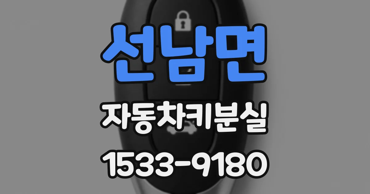 선남면 자동차키분실