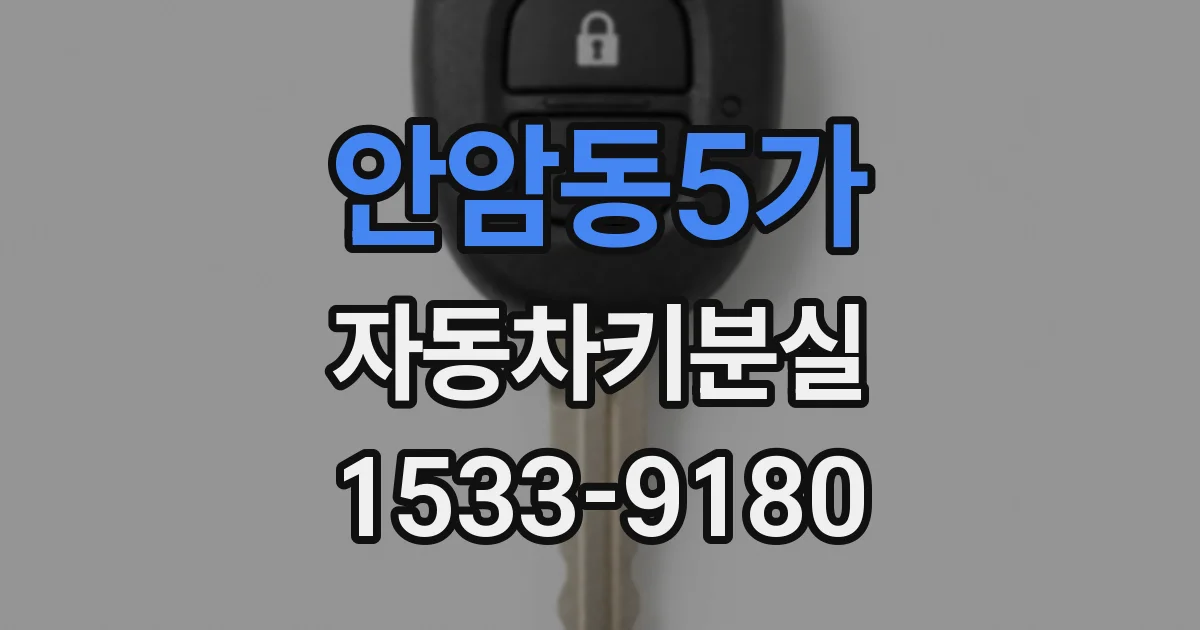 안암동5가 자동차키분실