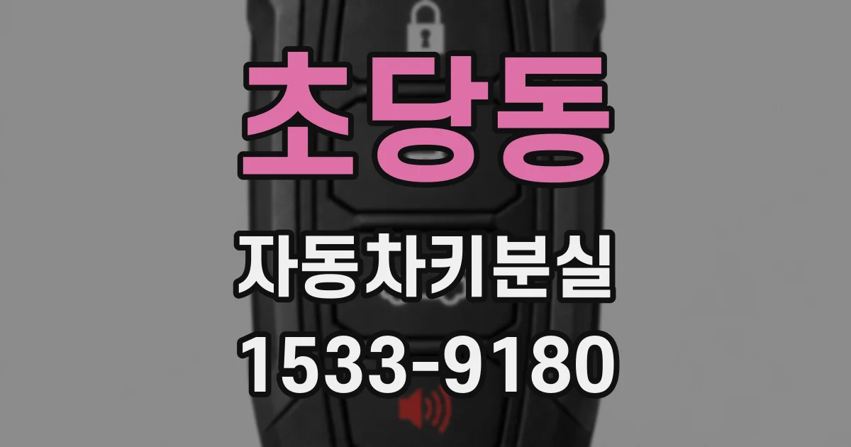 초당동 자동차키분실