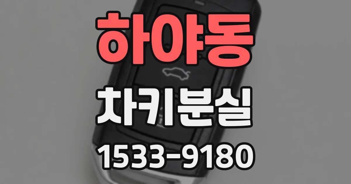 하야동 차키분실