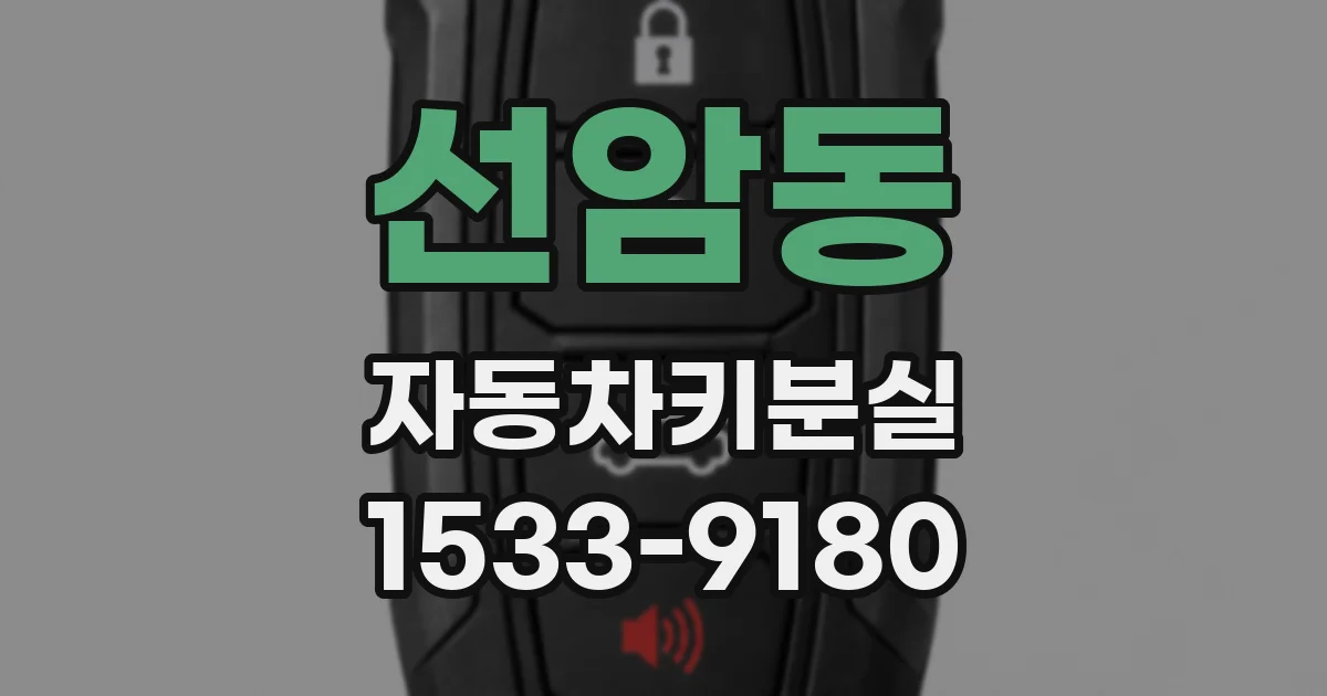 선암동 자동차키분실