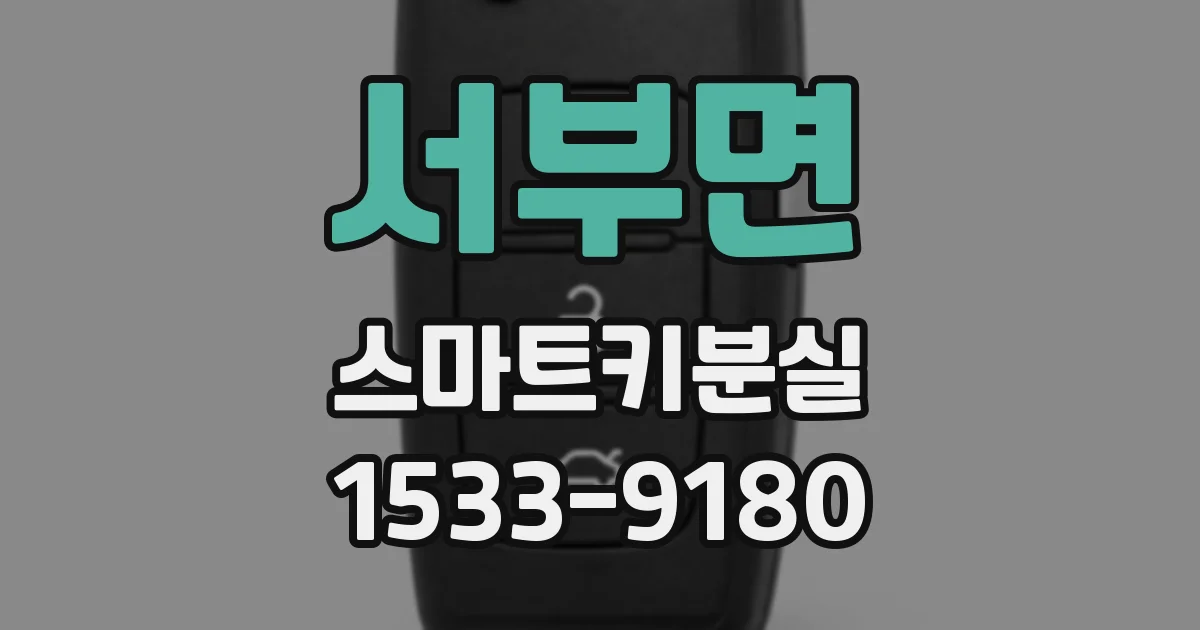 서부면 스마트키분실