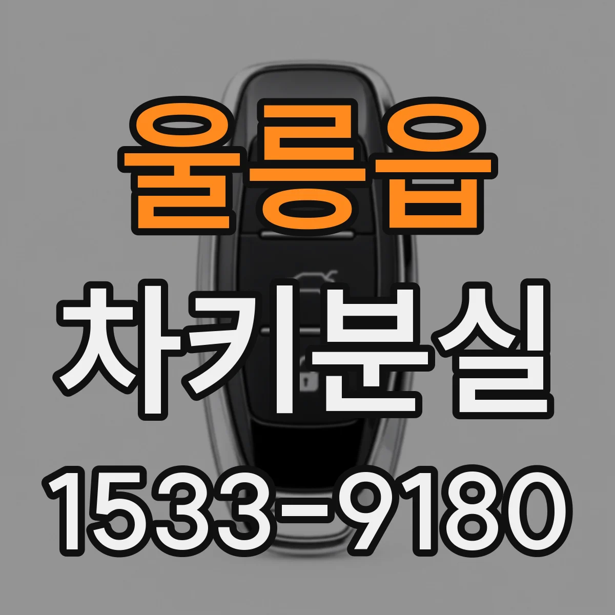 울릉읍 차키분실