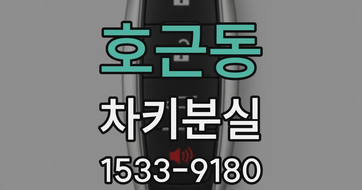 호근동 차키분실