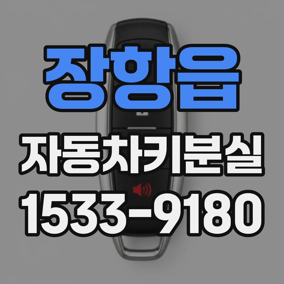장항읍 자동차키분실