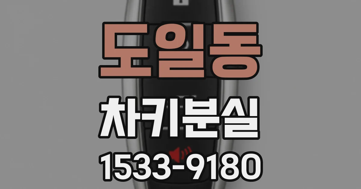 도일동 차키분실