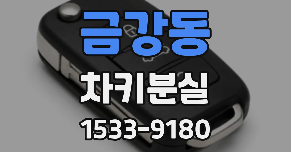 금강동 차키분실